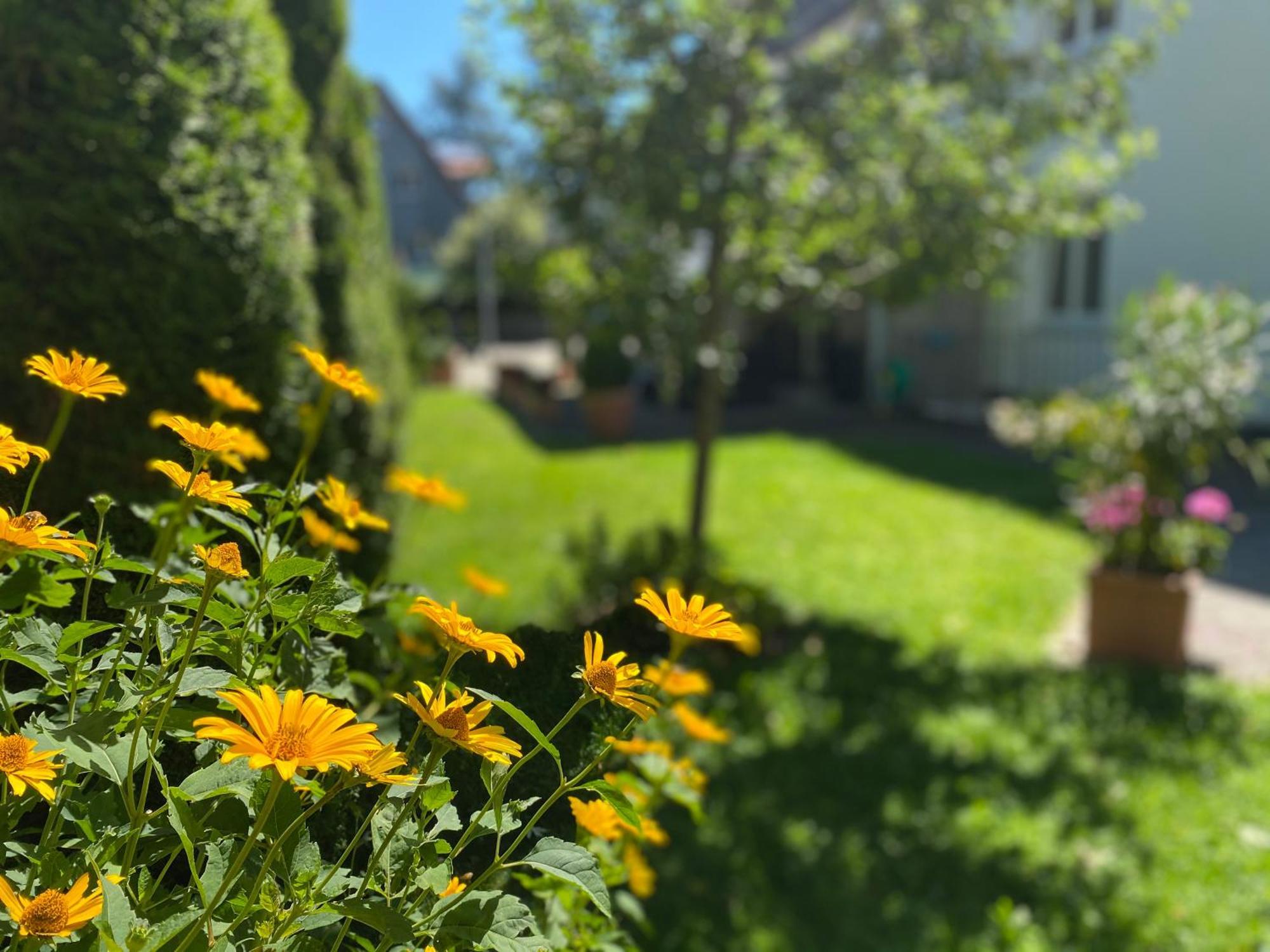 Hotel Villa Solln München Kültér fotó